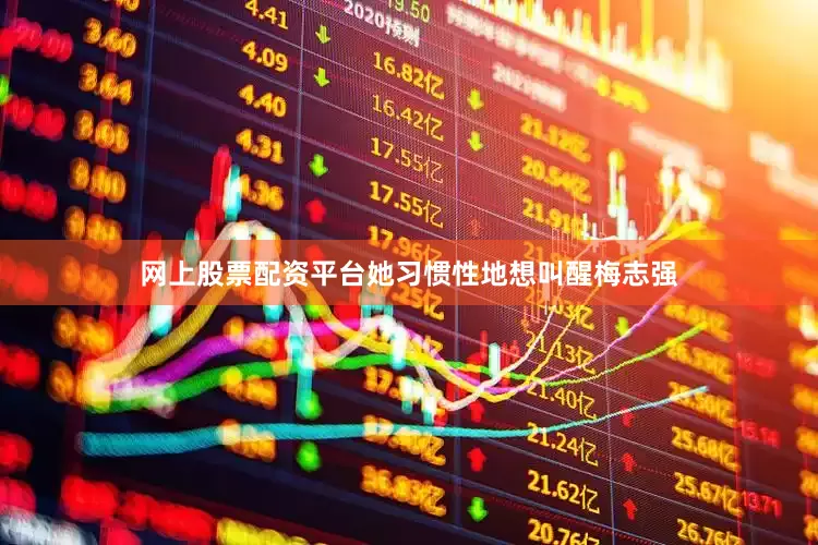 网上股票配资平台她习惯性地想叫醒梅志强