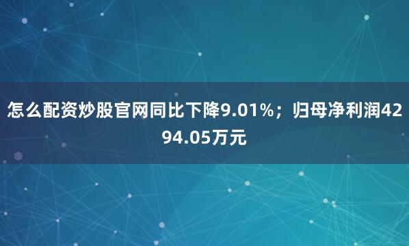 怎么配资炒股官网同比下降9.01%；归母净利润4294.05万元