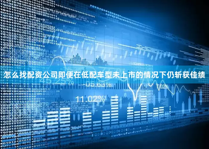怎么找配资公司即便在低配车型未上市的情况下仍斩获佳绩